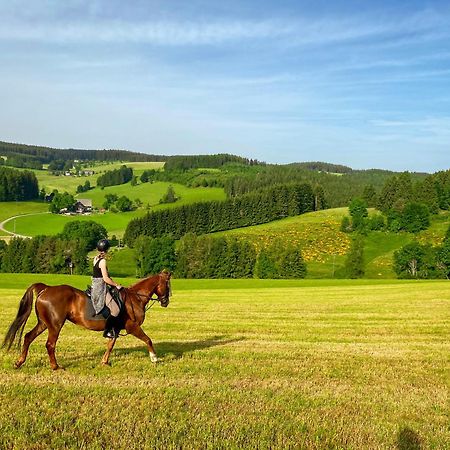 Ferienhof Gerda Sankt Georgen im Schwarzwald Exterior photo