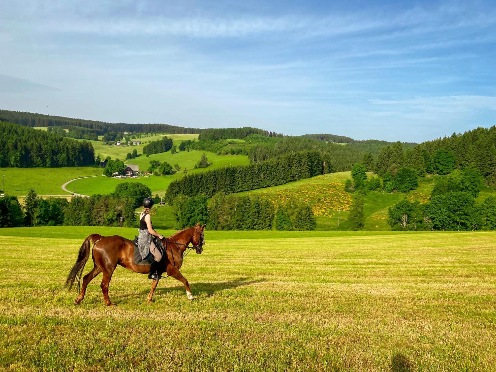 Ferienhof Gerda Sankt Georgen im Schwarzwald Exterior photo